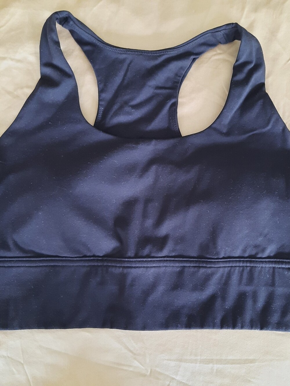 Everlane Black Perform Bra